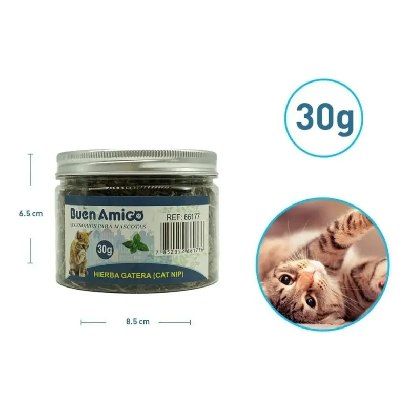 catnip hierba gatera buen amigo 30 gramos frasco organico estimulante gatos bolas de pelo ideal para chile