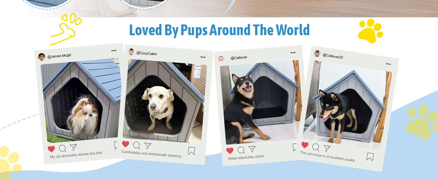 Casa de plástico azul para perros pequeños con piso elevado, ideal para uso en interiores y patios.