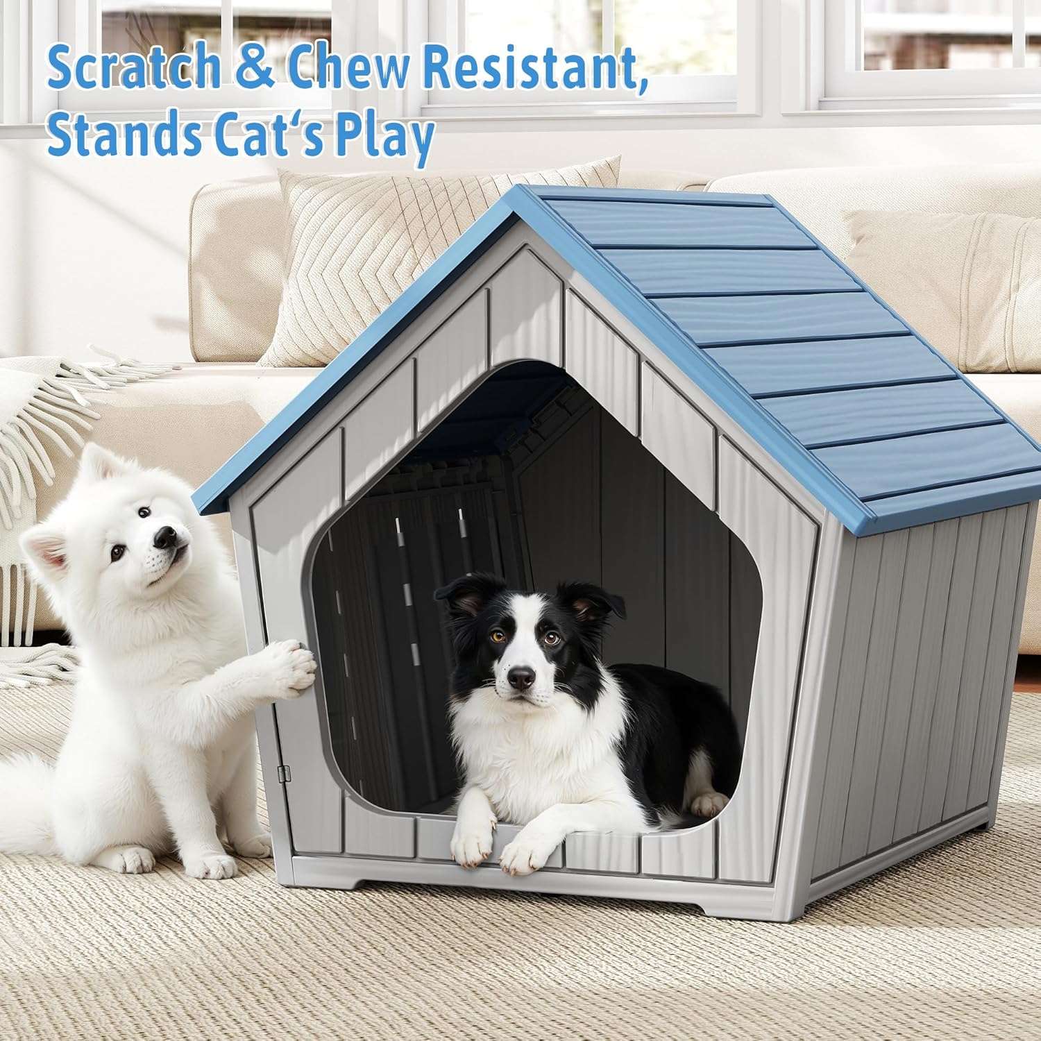 Casa de plástico azul para perros pequeños con piso elevado, ideal para uso en interiores y patios.