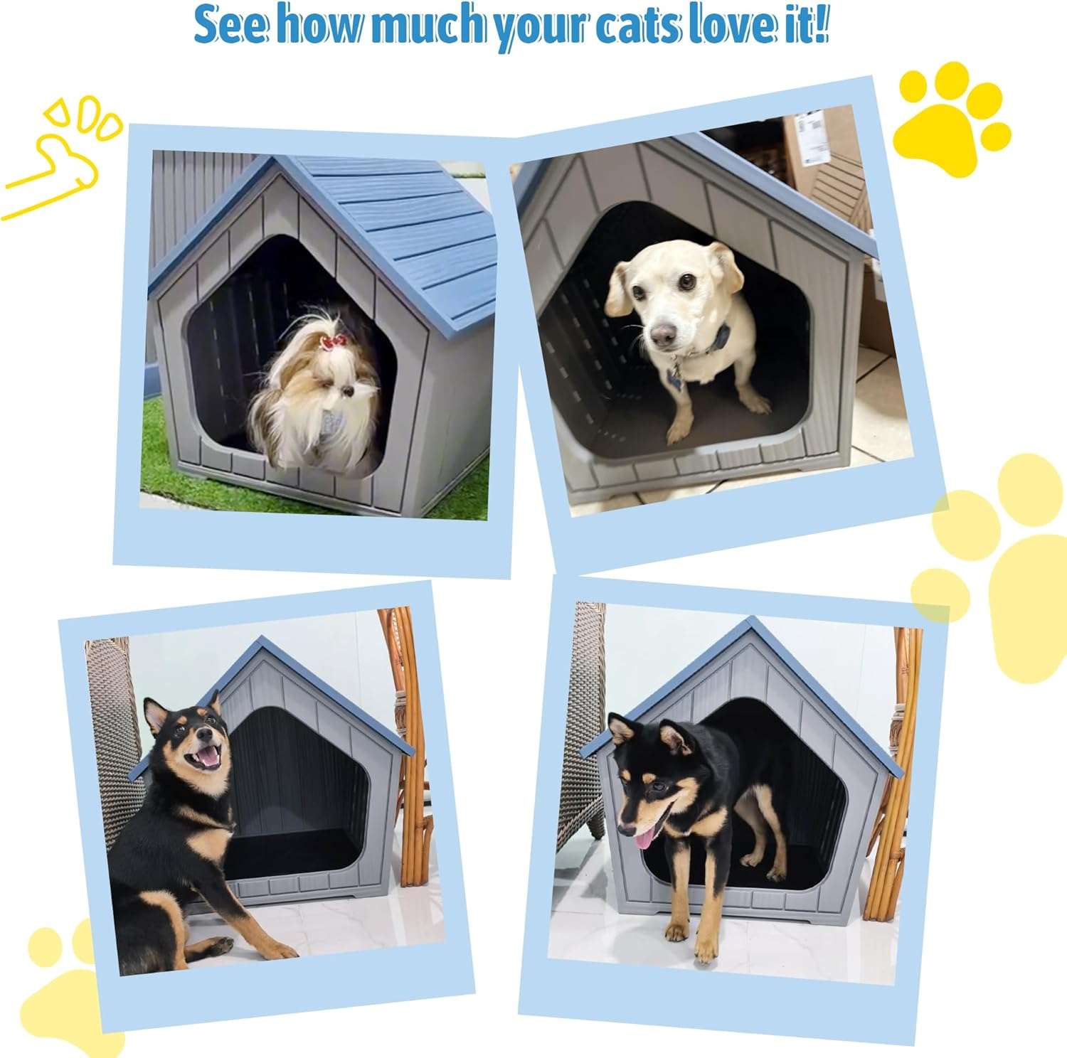 Casa de plástico azul para perros pequeños con piso elevado, ideal para uso en interiores y patios.