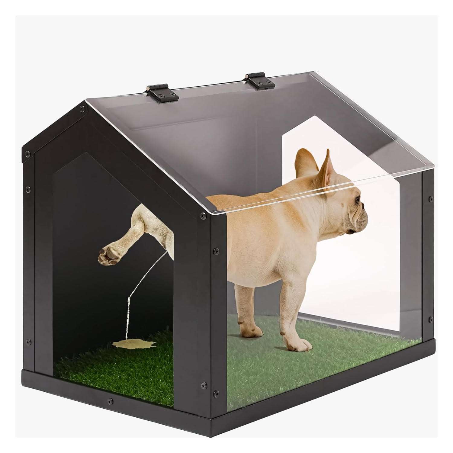 baño orinal perros interior pasto sintetico paredes altas antisalpicaduras diseño moderno 66x46x55 centimetros ideal para chile