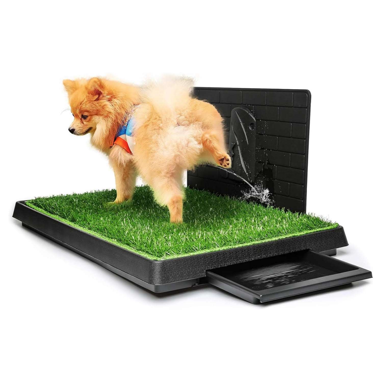 baño orinal perros interior pasto sintetico bandeja pared antisalpicaduras drenaje rapido 76x51x7 centimetros ideal para chile