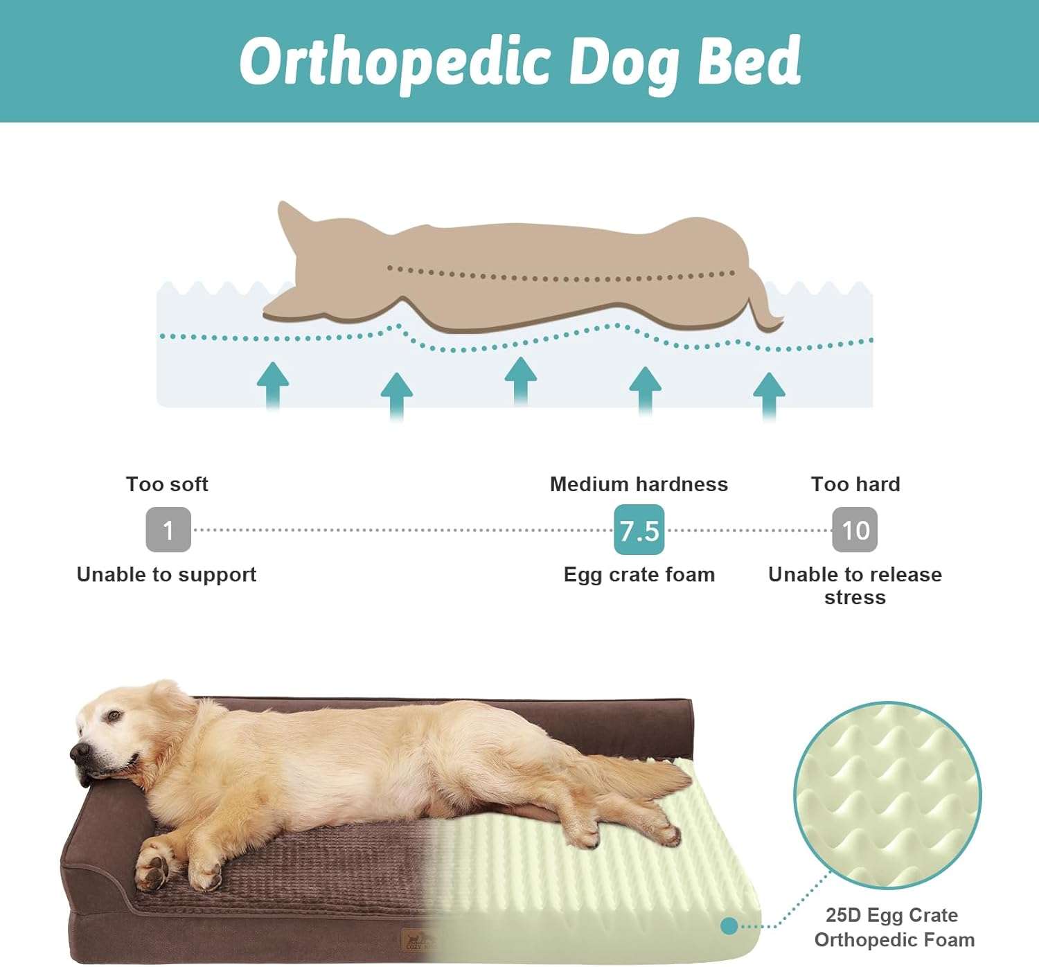 Cama ortopedica para perros con espuma viscoelastica bordes elevados y forro impermeable.