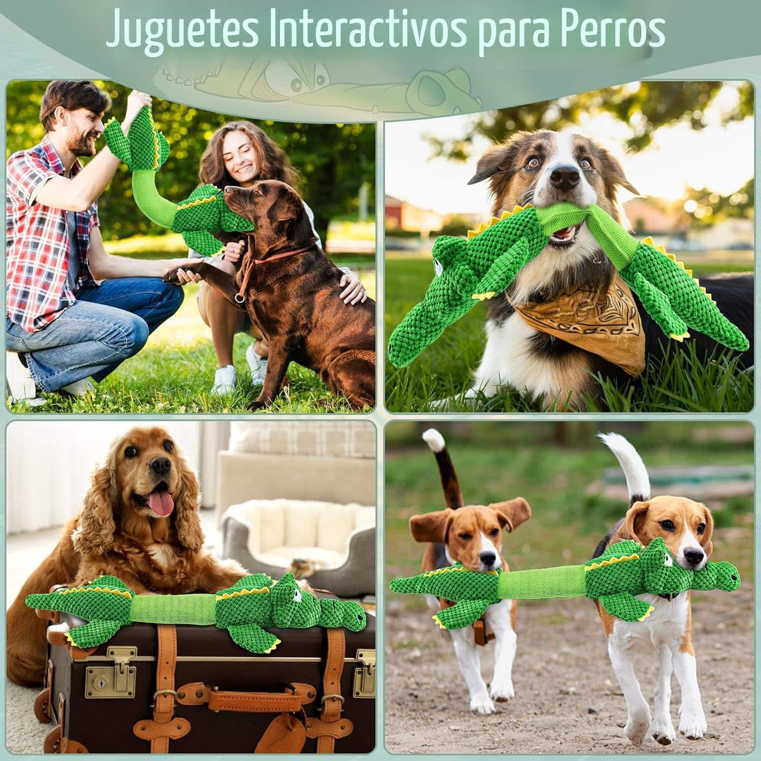Juguete de peluche en forma de cocodrilo gigante estirable con sonido para perros grandes.
