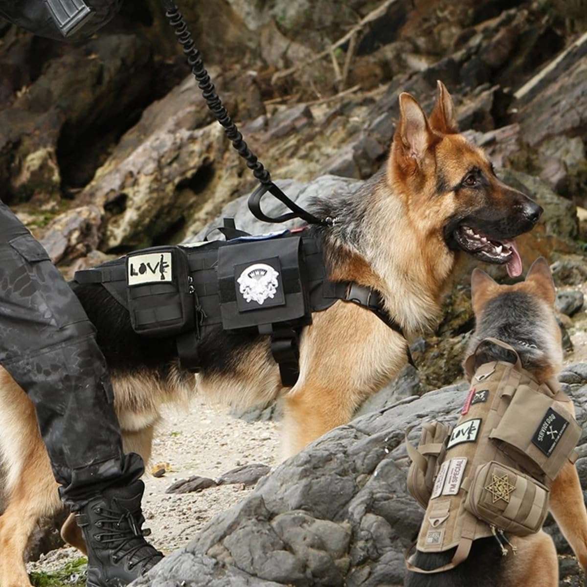 arnes tactico resistente para perros con bolsas molle y correa elastica ideal para entrenamiento en chile