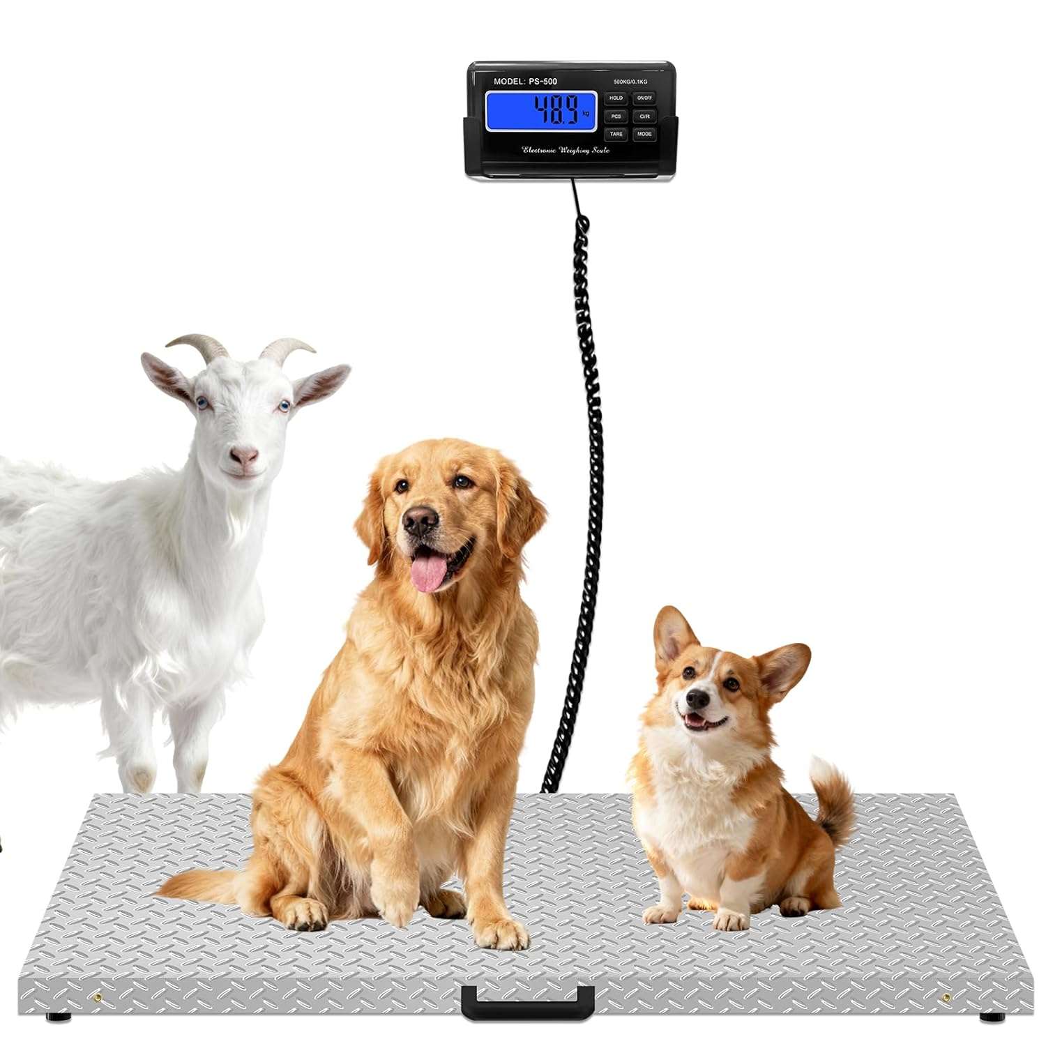 balanza digital de acero inoxidable antideslizante para ganado de 500 kilos y 104 por 53 centimetros ideal para chile