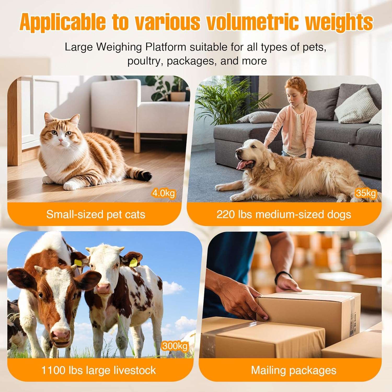 pesa veterinaria noblequest de acero inoxidable para perros grandes de 500 kilos y 103 por 53 centimetros ideal para chile