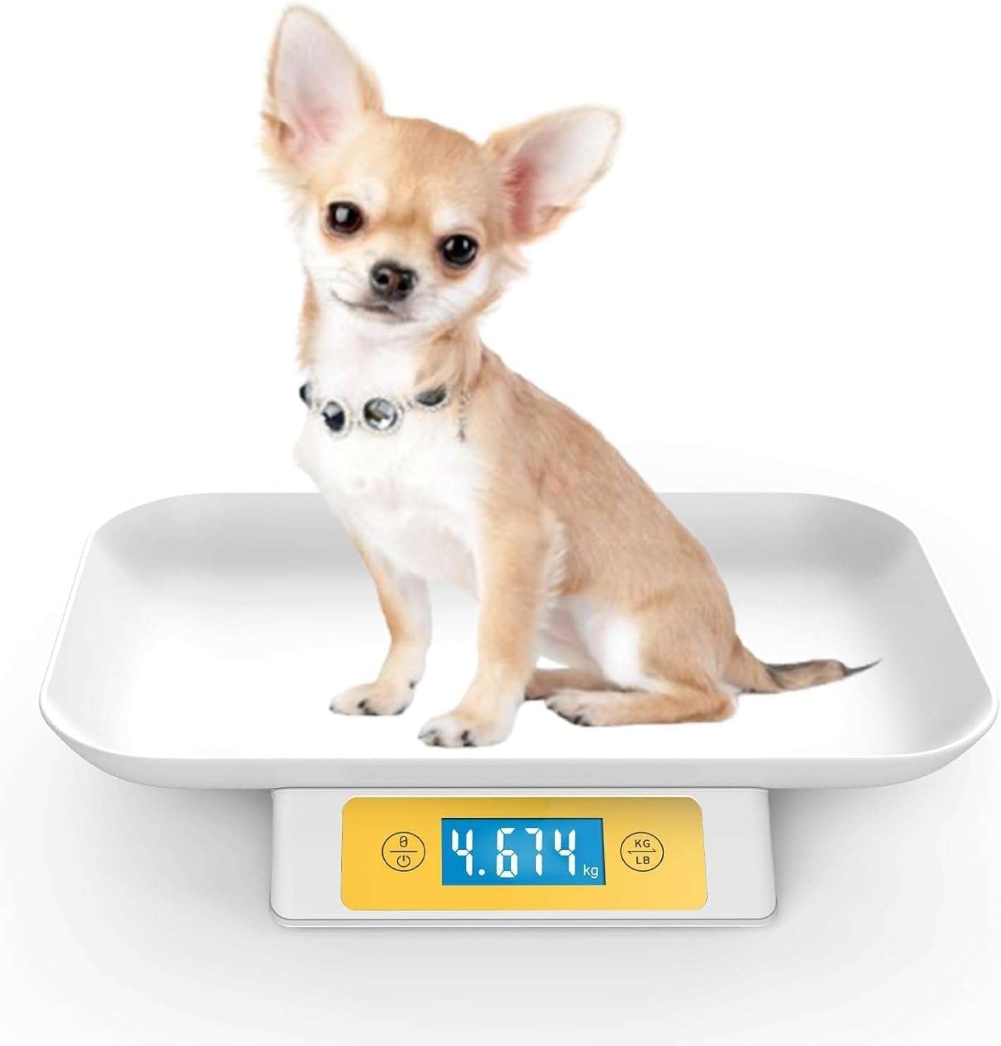 bascula digital amarilla para mascotas pequeñas con capacidad de 15 kilos y bandeja de 33 por 23 centimetros ideal para chile