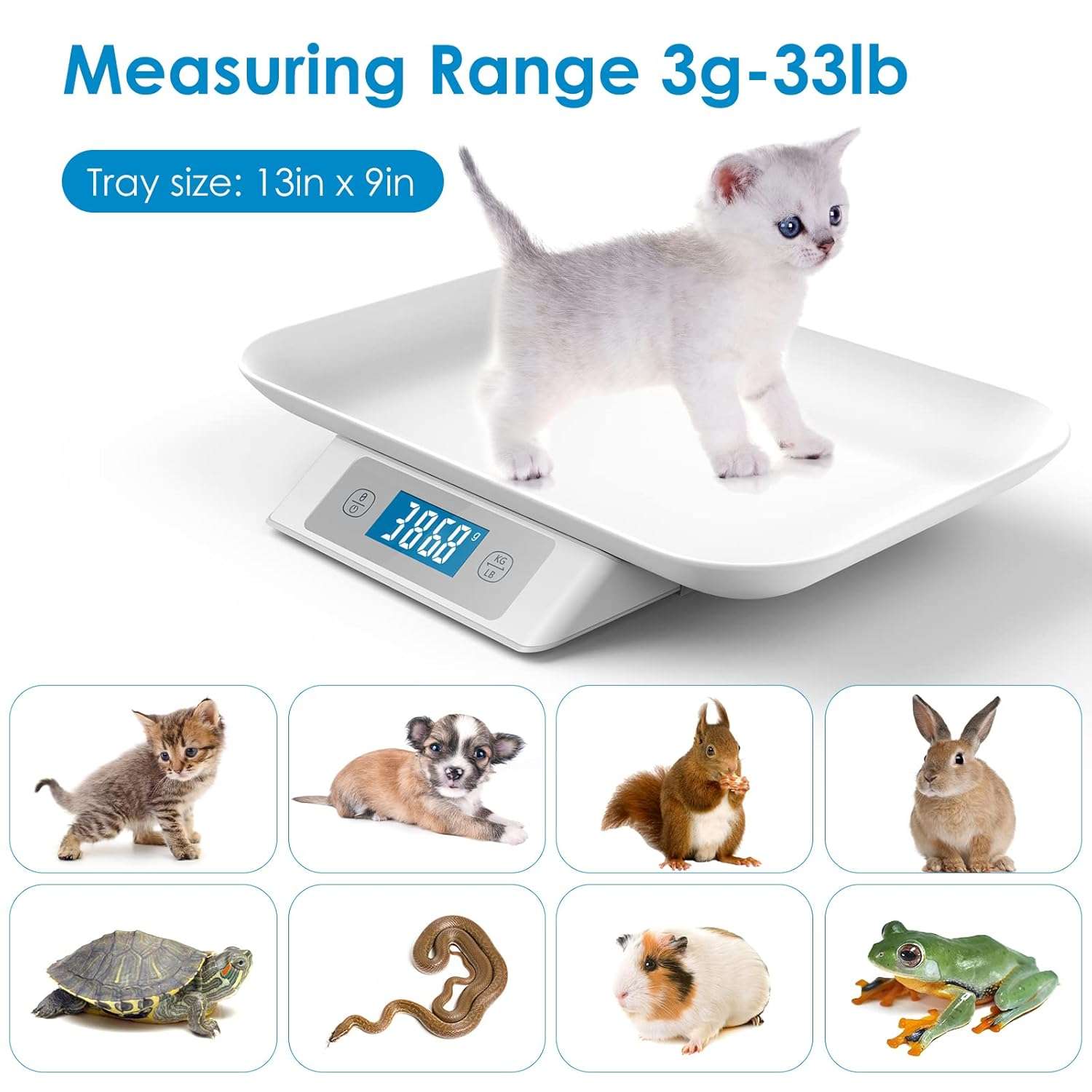 bascula digital amarilla para mascotas pequeñas con capacidad de 15 kilos y bandeja de 33 por 23 centimetros ideal para chile