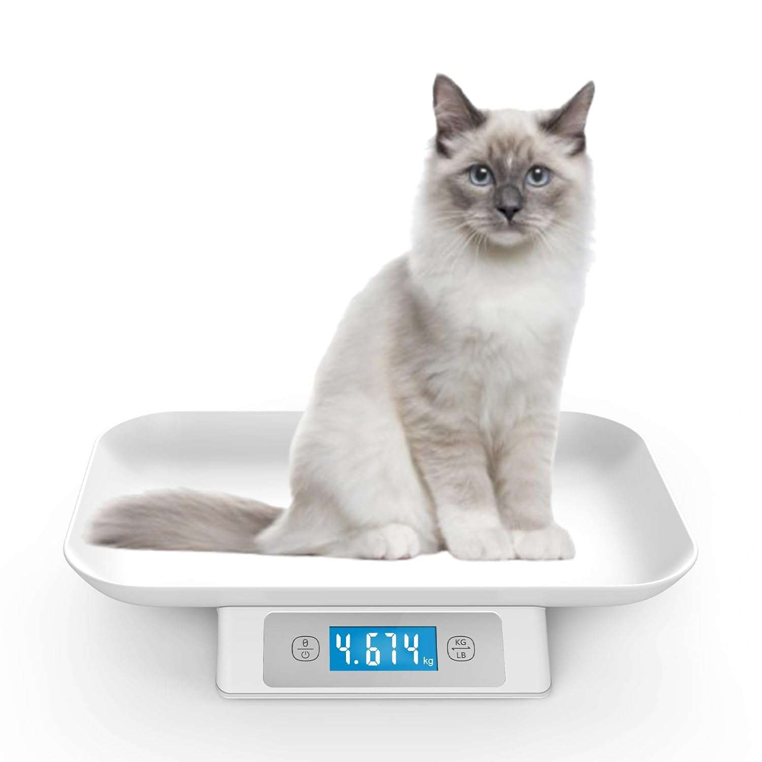 bascula digital amarilla para mascotas pequeñas con capacidad de 15 kilos y bandeja de 33 por 23 centimetros ideal para chile