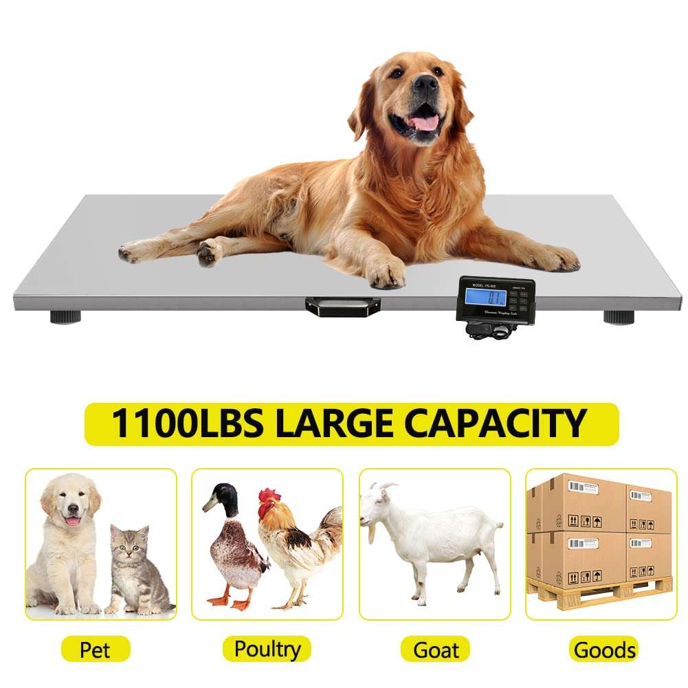 balanza digital de acero inoxidable para ganado y mascotas de 500 kilos ideal para chile