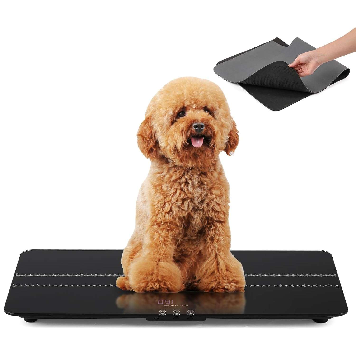 pesa digital recargable para perros medianos con capacidad de 100 kilos y base de goma de 69 por 33 centimetros ideal para chile