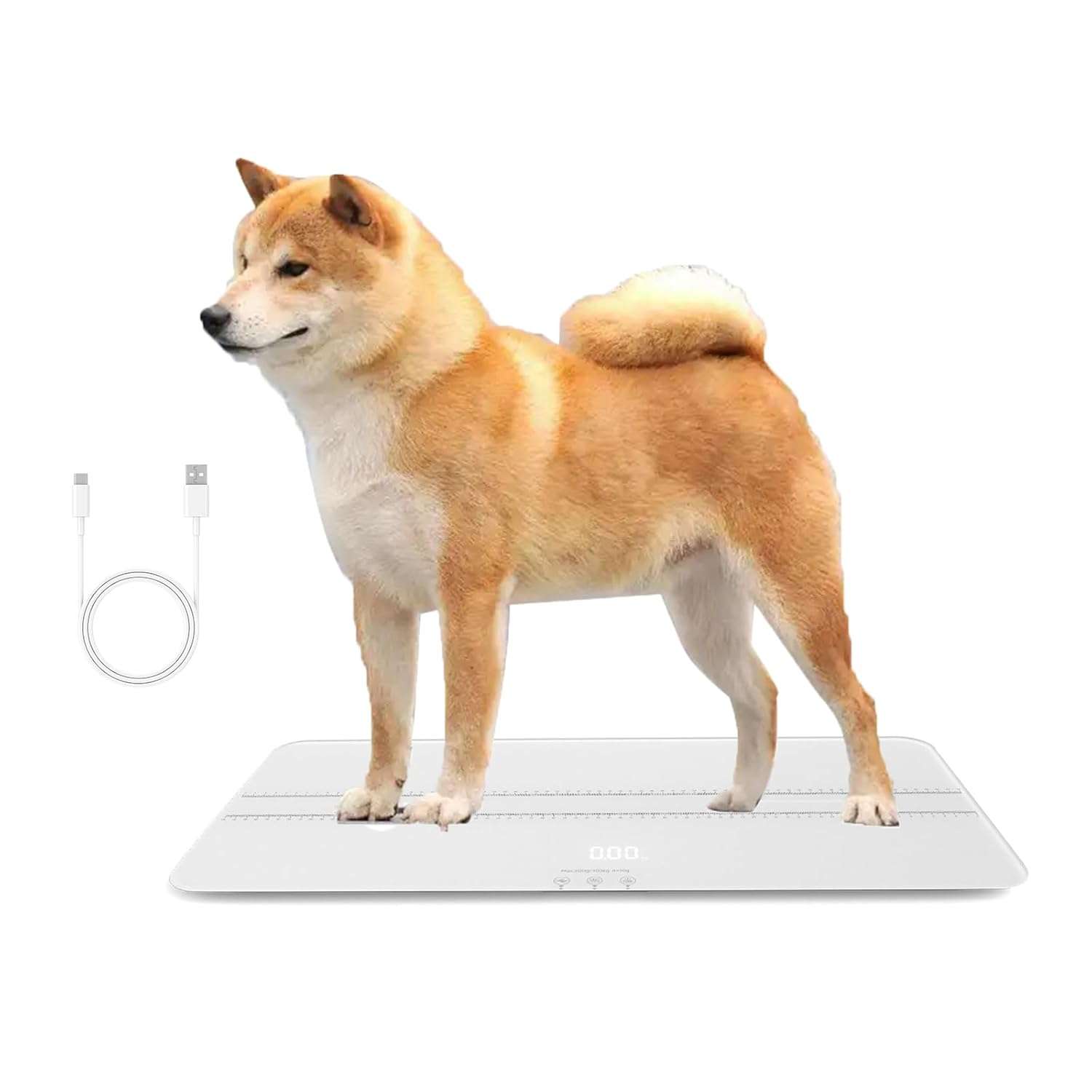 pesa digital recargable para perros medianos de 100 kilos con superficie de vidrio de 69 por 33 centimetros ideal para chile