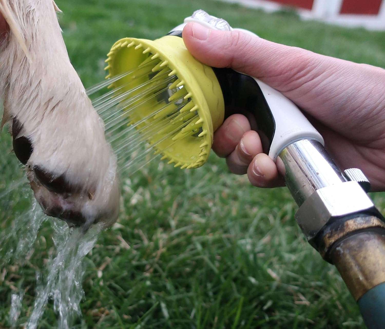 Cepillo de baño para perros al aire libre con boquilla para manguera, protector de salpicaduras y control de presión.