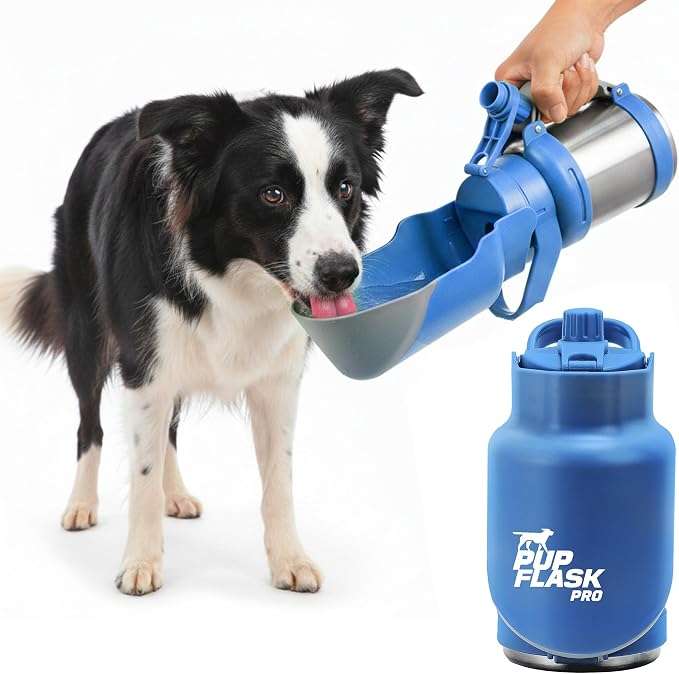botella termica portatil de agua para perros en acero inoxidable con tazon abatible integrado y diseño a prueba de derrames