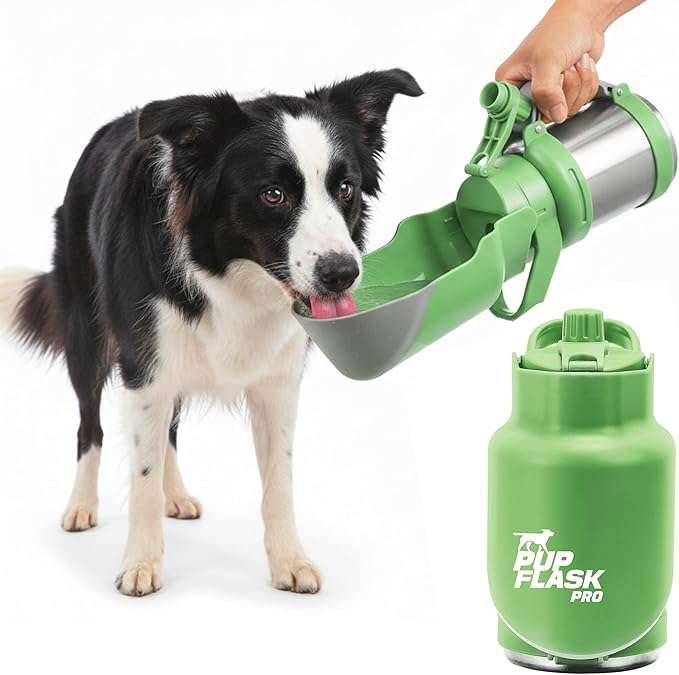 botella termica portatil de agua para perros en acero inoxidable con tazon abatible integrado y diseño a prueba de derrames