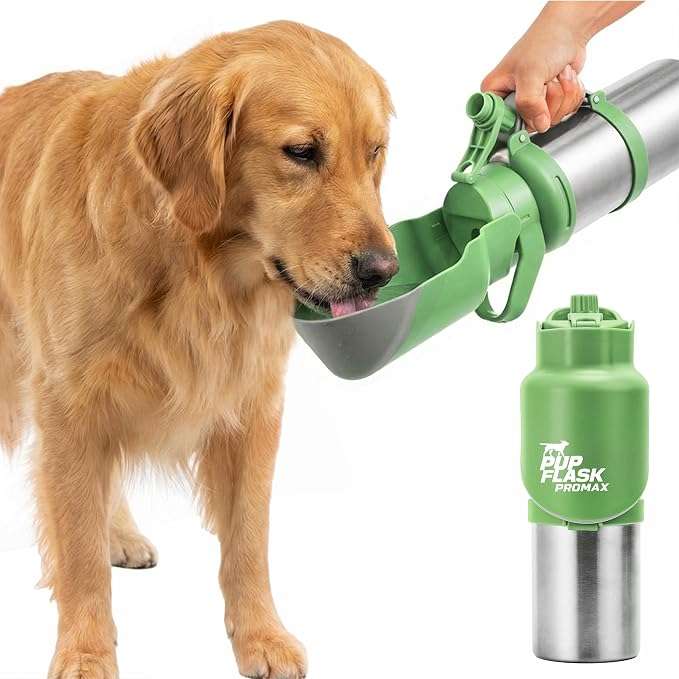 botella termica portatil de agua para perros en acero inoxidable con tazon abatible integrado y diseño a prueba de derrames