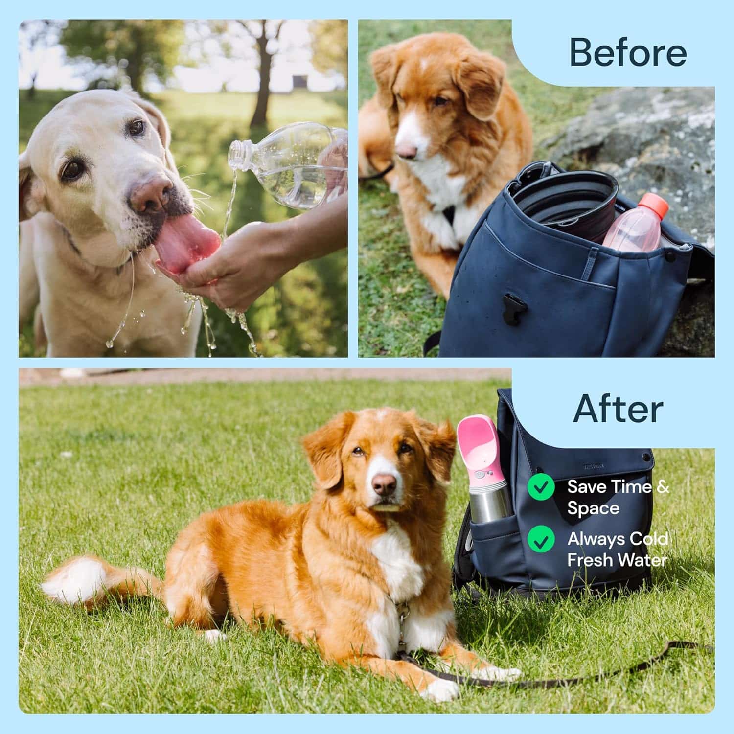 botella de agua termica portatil para perros color rosa de 709 mililitros en acero inoxidable a prueba de fugas