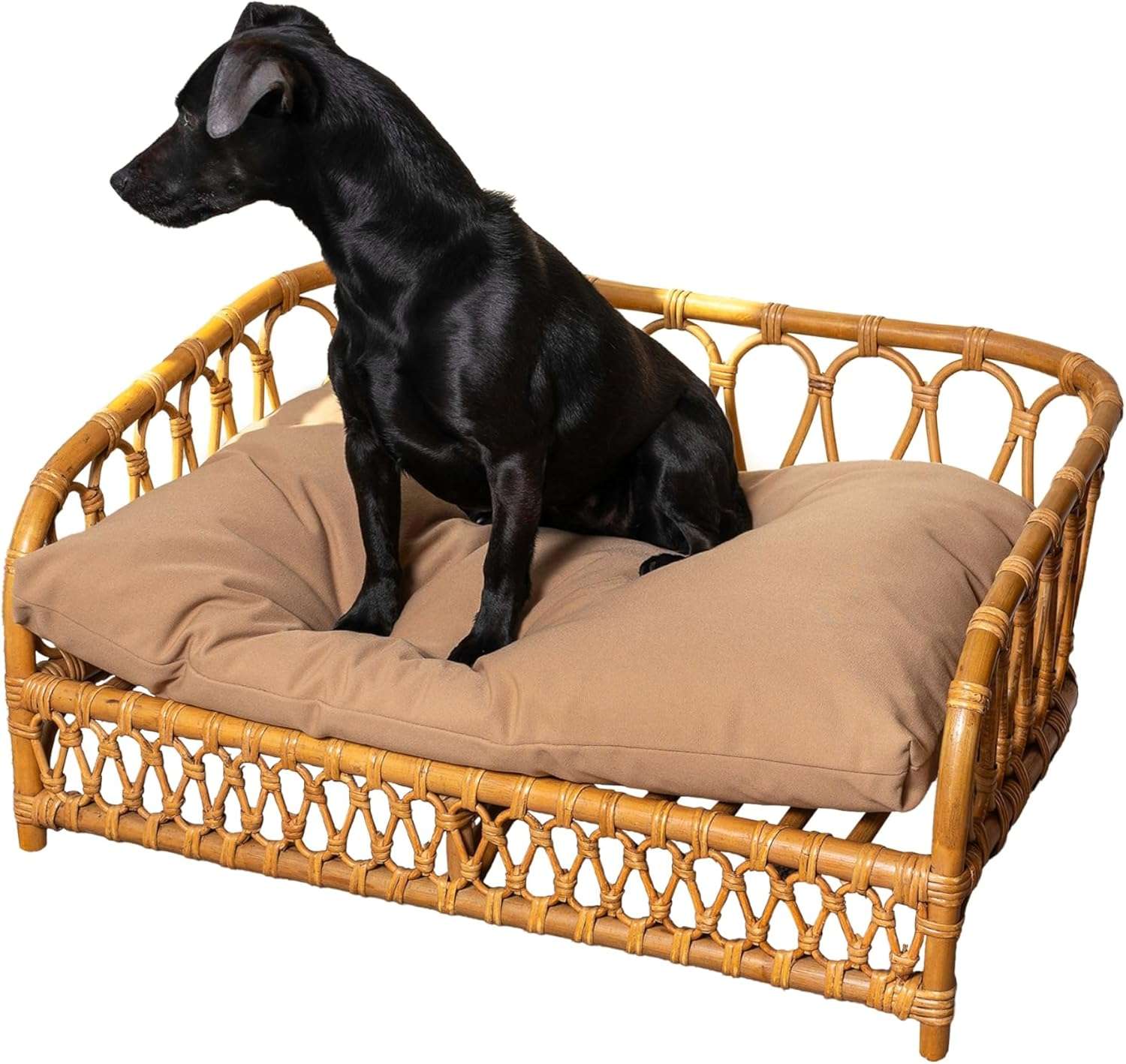 Cama Elevada Ratan 70 Centimetros Para Perros Y Gatos