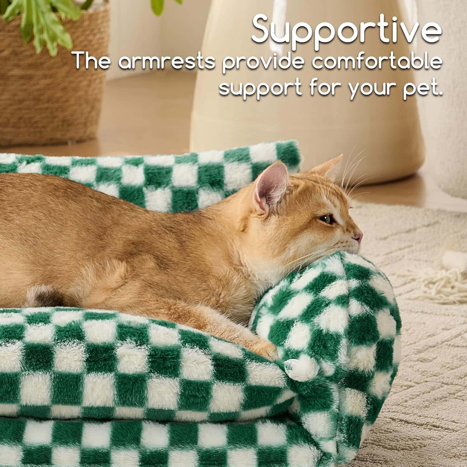 sofa cama nido ortopedico para gatos Hollypet color verde bosque y blanco con medidas de 53.34 por 38.10 por 20.32 centimetros