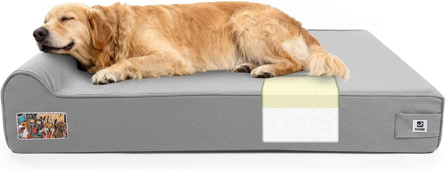 cama ortopedica xxl para perros gigantes de 127 por 86 centimetros con funda lavable y base impermeable ideal para chile