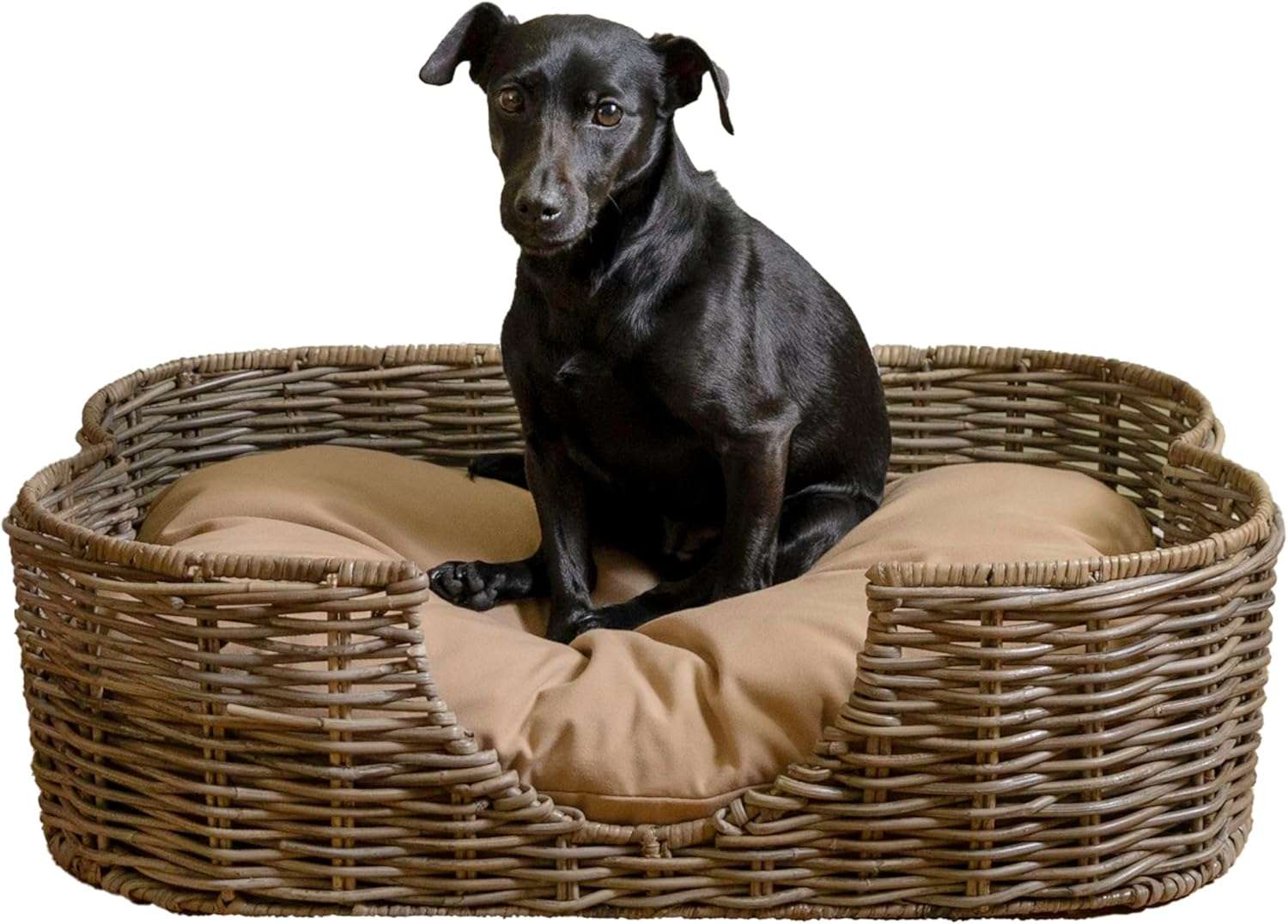 cama de ratan tropical gris para perro de 69 centimetros con cojin de felpa lavable ideal para mascotas en chile