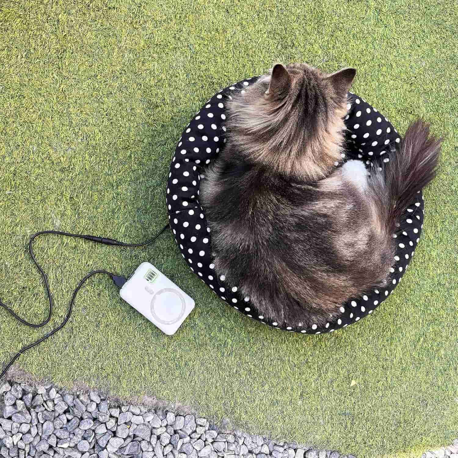 cama termica usb para gatos y perros pequeños lavable con control de temperatura de 3 niveles ideal para chile