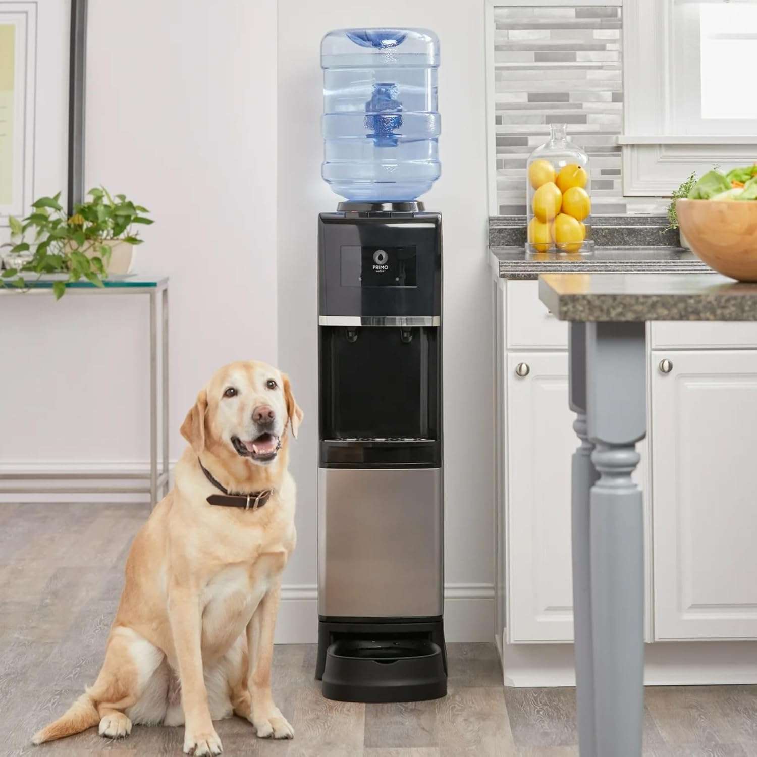 dispensador de agua fria y caliente con estacion para mascotas de acero inoxidable con medidas de 104.39 por 29.97 por 29.97 centimetros