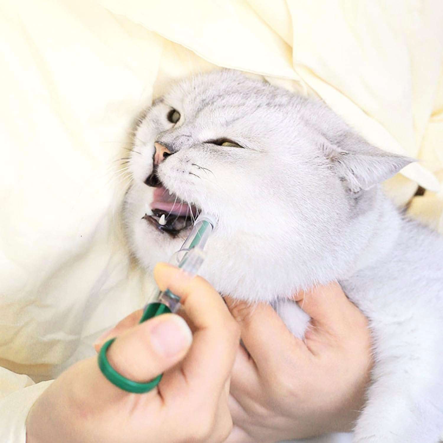 Dispensador De Medicamentos Veterinario Pastillas Para Gatos Perros Punta Fija - Imagen 3