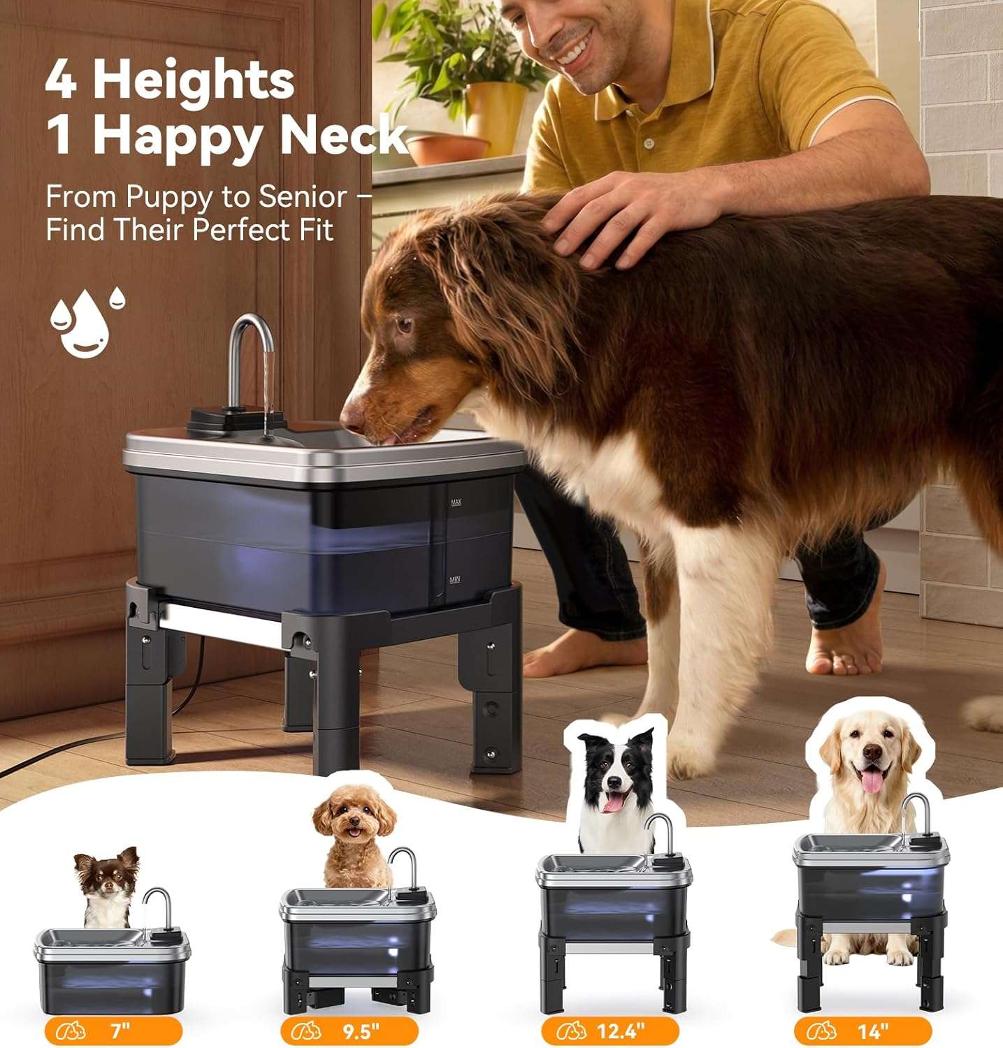 fuente de agua elevada para perros grandes de 9 litros en acero inoxidable con medidas de 40.13 por 20.57 por 18.80 centimetros