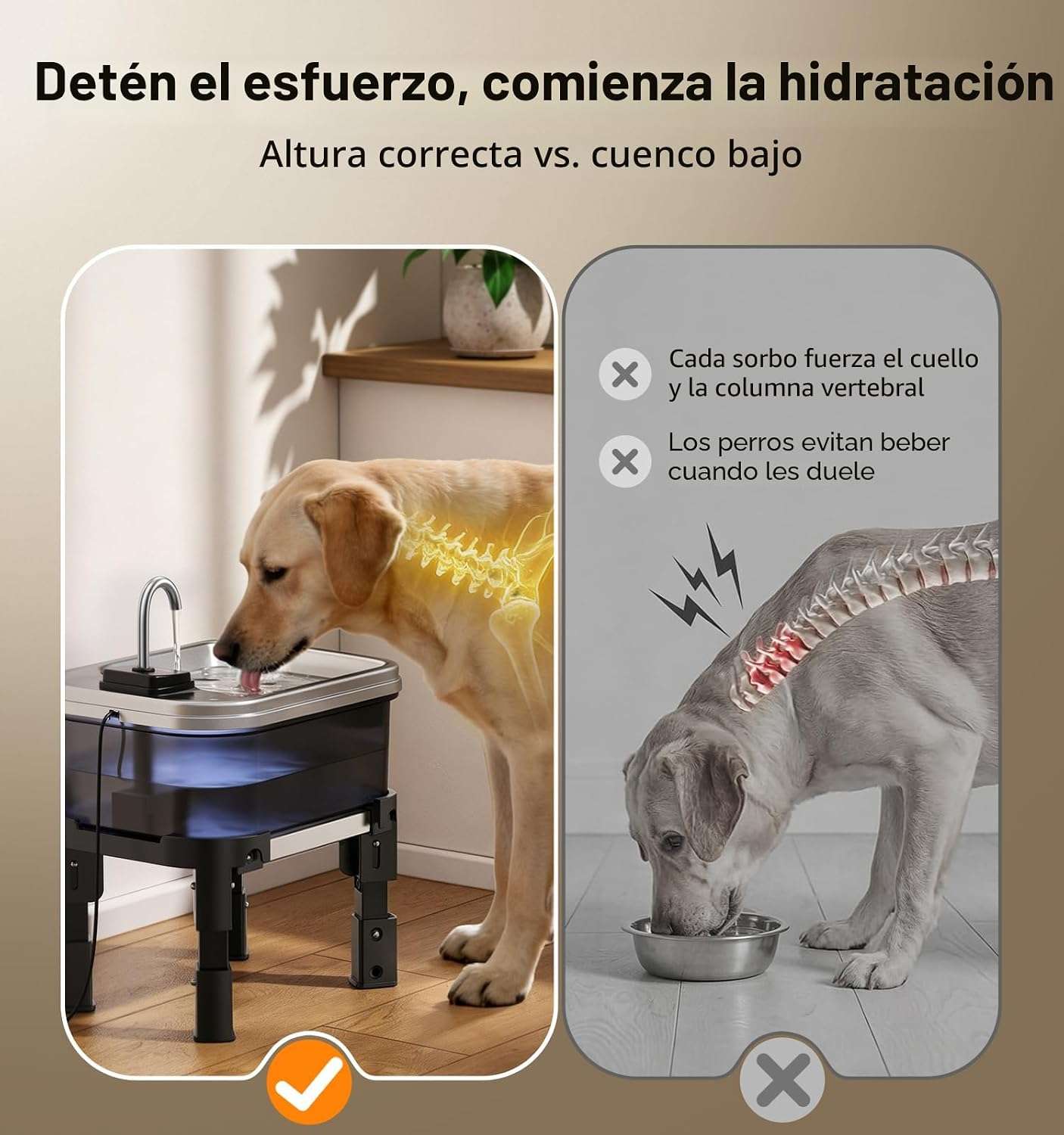 fuente de agua elevada para perros grandes de 9 litros en acero inoxidable con medidas de 40.13 por 20.57 por 18.80 centimetros