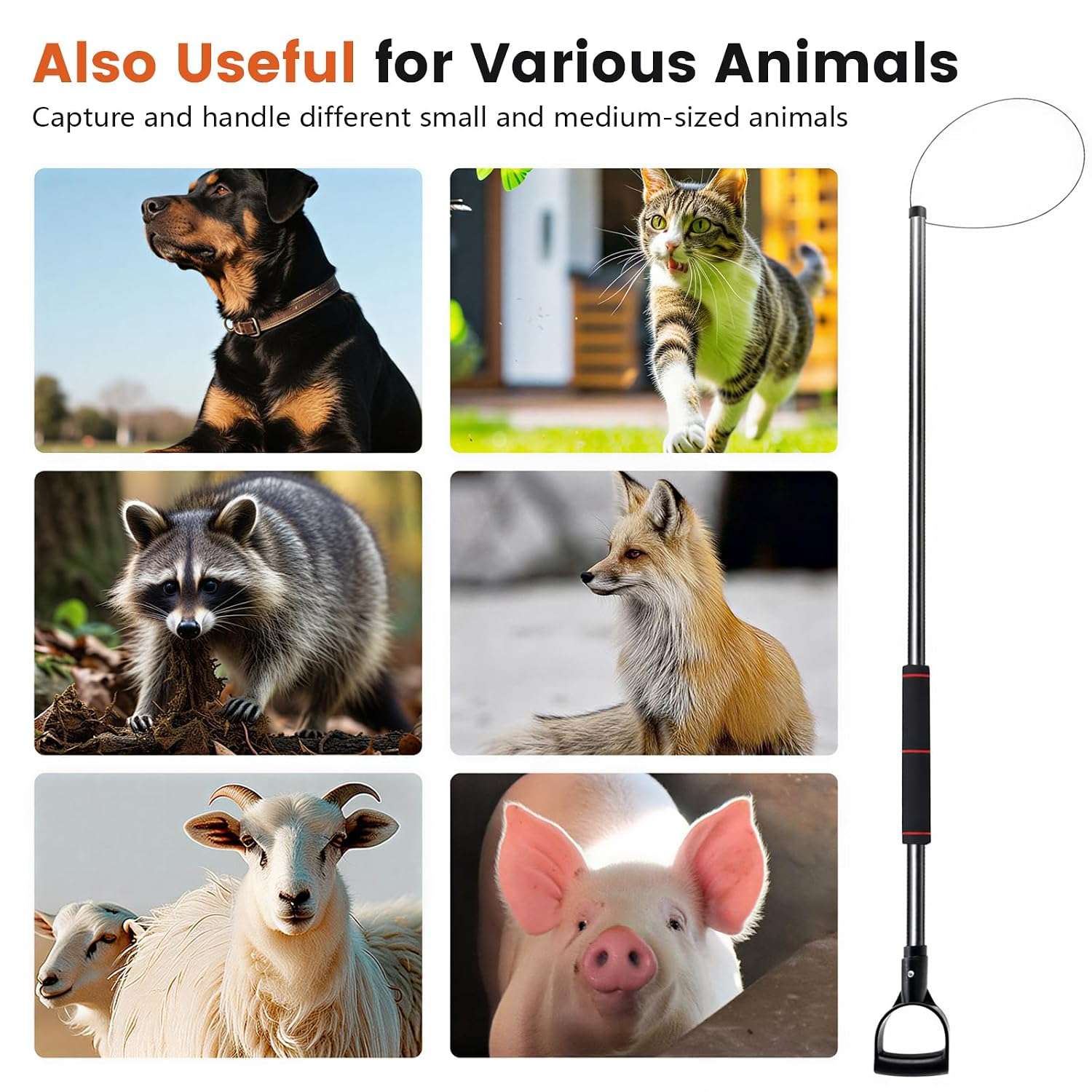 poste de captura de animales ajustable de 152.40 a 233.68 centimetros con guantes y linterna ideal para chile