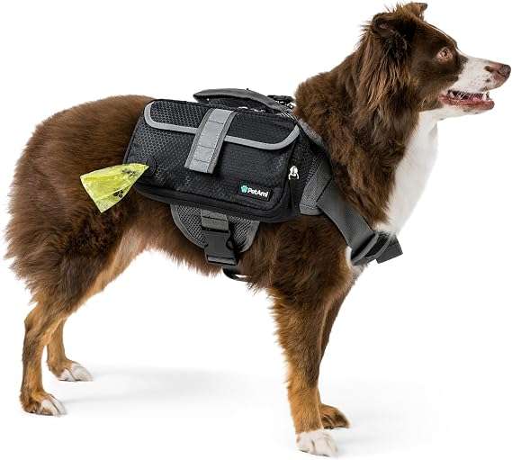 mochila arnes para perros medianos y grandes con bolsillos reflectante ideal para senderismo en chile