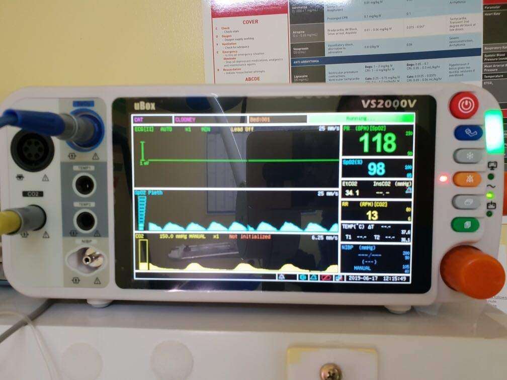 Monitor Signos Vitales Veterinario Pantalla LCD 18 cm - Imagen 5