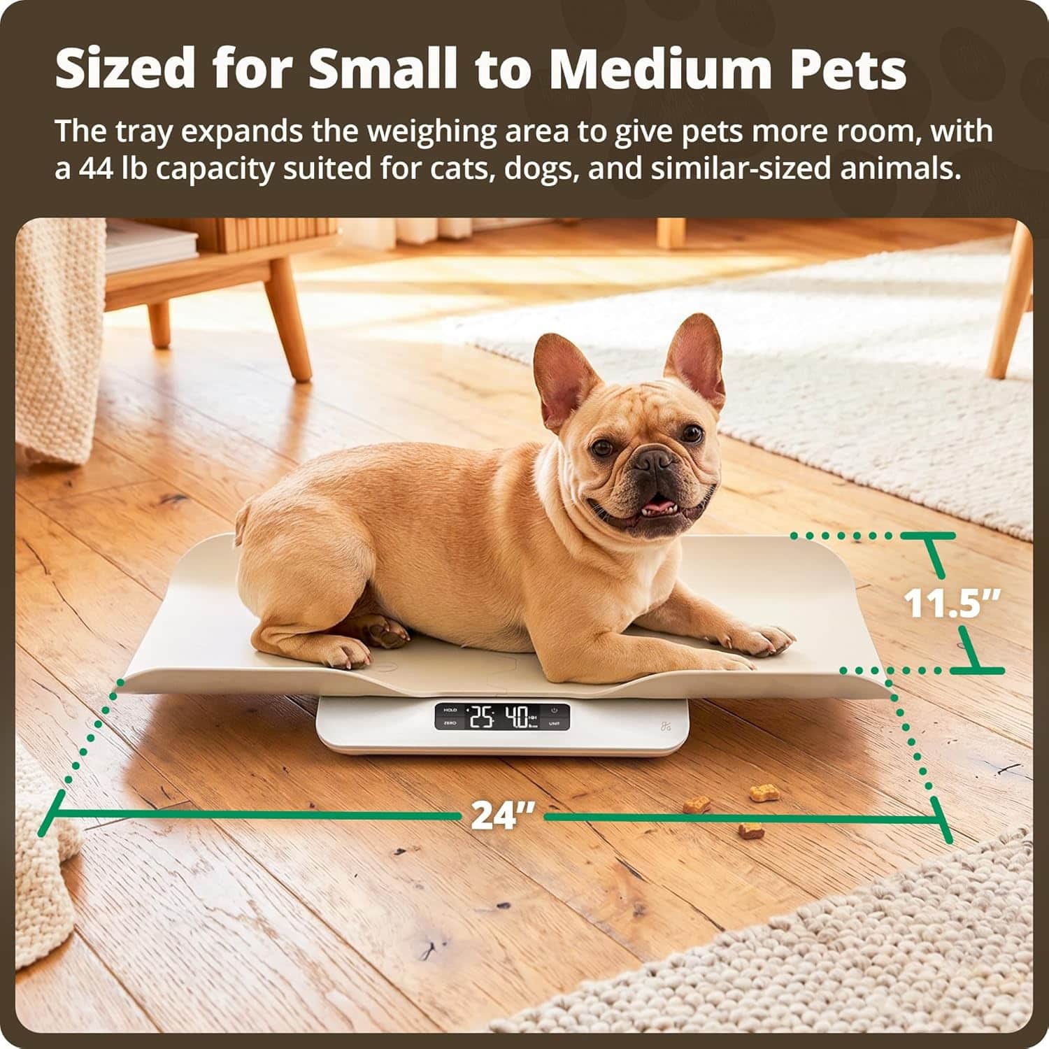 pesa digital greater goods para mascotas pequeñas con capacidad de 20 kilos y algoritmo antimovimiento ideal para chile