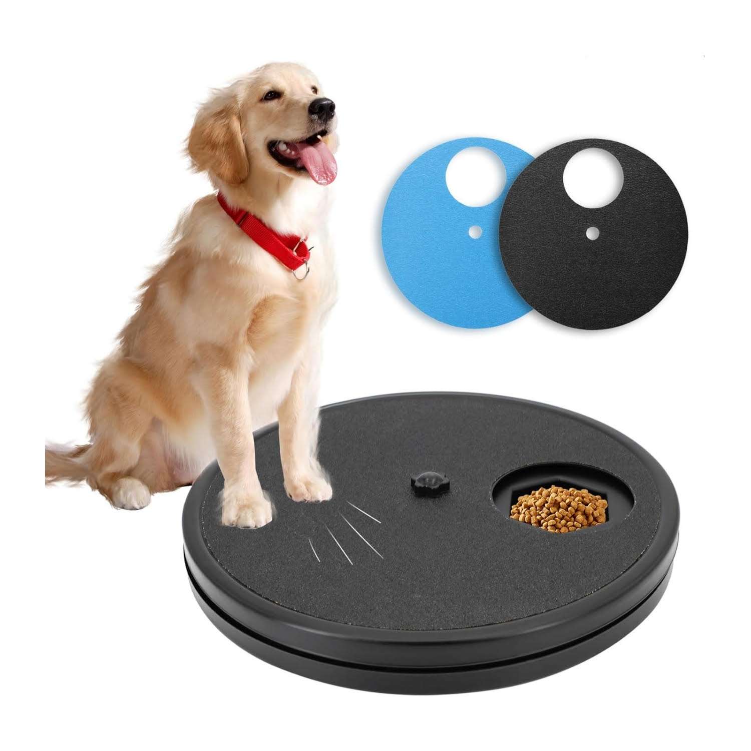 tabla rascador de uñas para perro giratoria con compartimentos para golosinas y lija de repuesto ideal para chile