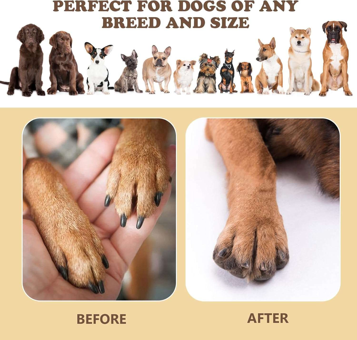 tabla rascador de uñas para perro giratoria con compartimentos para golosinas y lija de repuesto ideal para chile