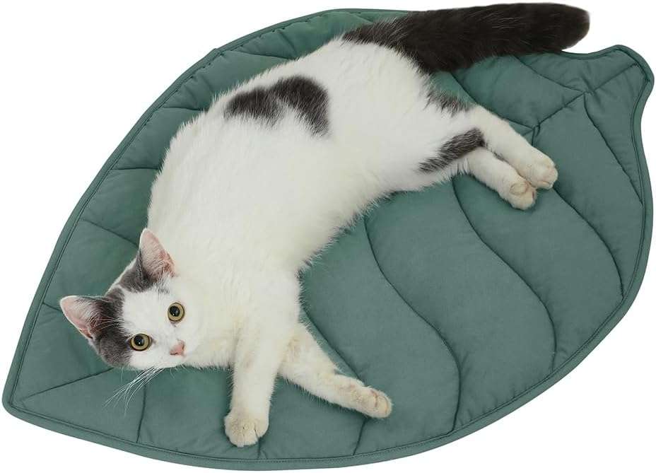 almohadilla de cama para gatos en forma de hoja de algodon lavable con medidas de 76.20 por 50.80 por 1.78 centimetros