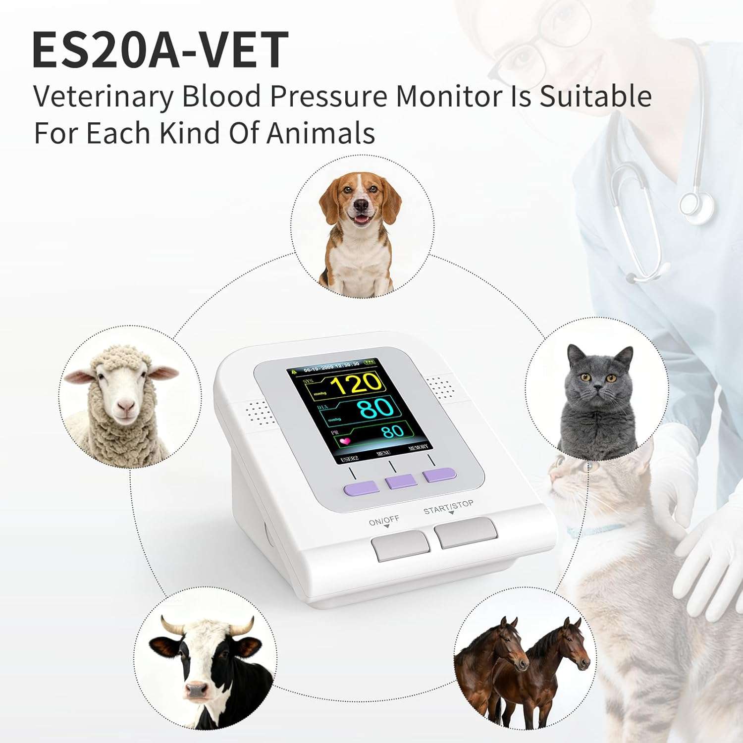 monitor de presion arterial veterinario para perros y gatos con pantalla a color y tres brazaletes ideal para chile