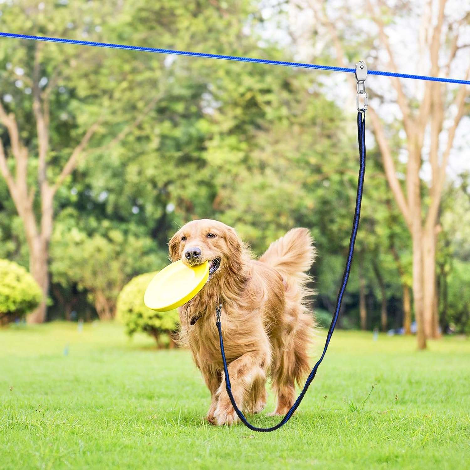 tirolesa aerea para perros de 1524 centimetros con polea elastica de 304.80 centimetros ideal para evitar daños en arboles en chile