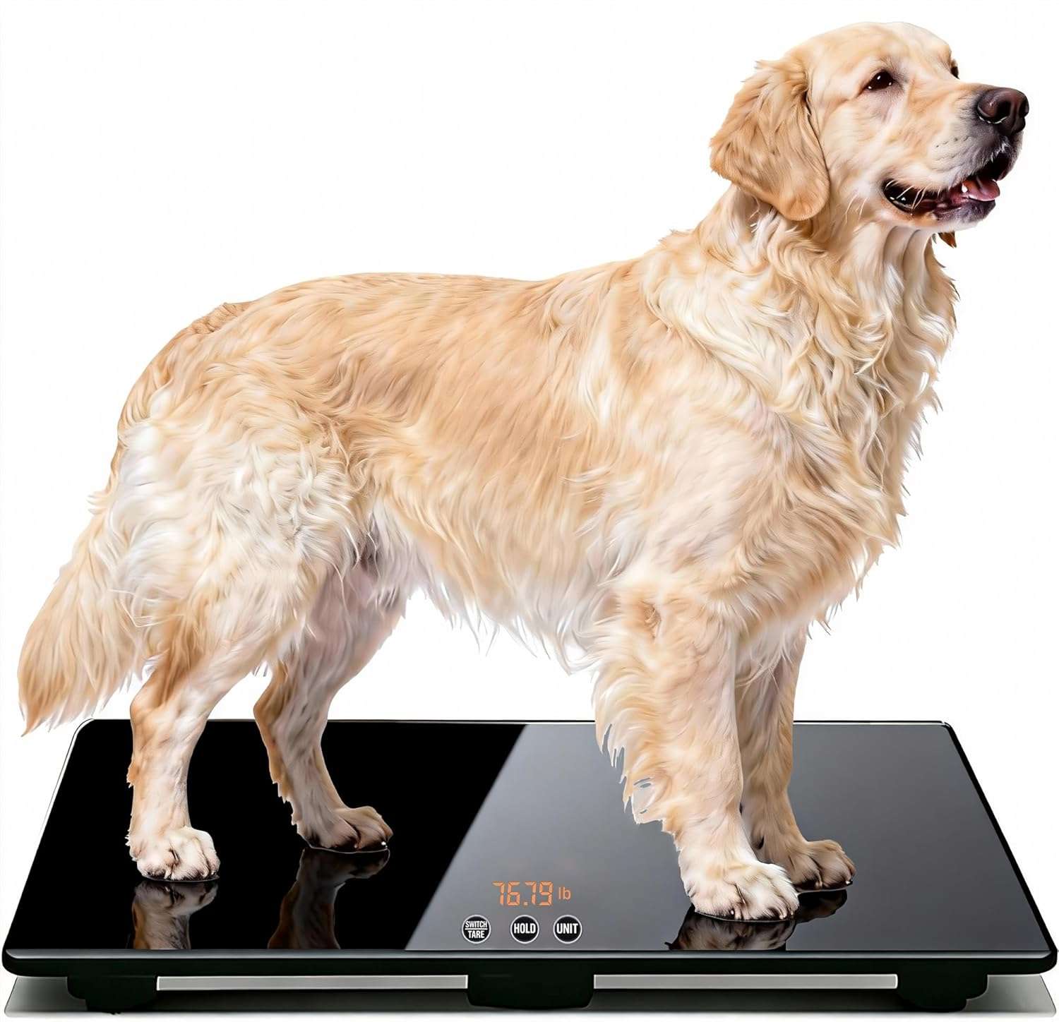 pesa veterinaria digital para perros de raza grande de 100 kilos con plataforma de vidrio templado de 80 por 50 centimetros ideal para chile