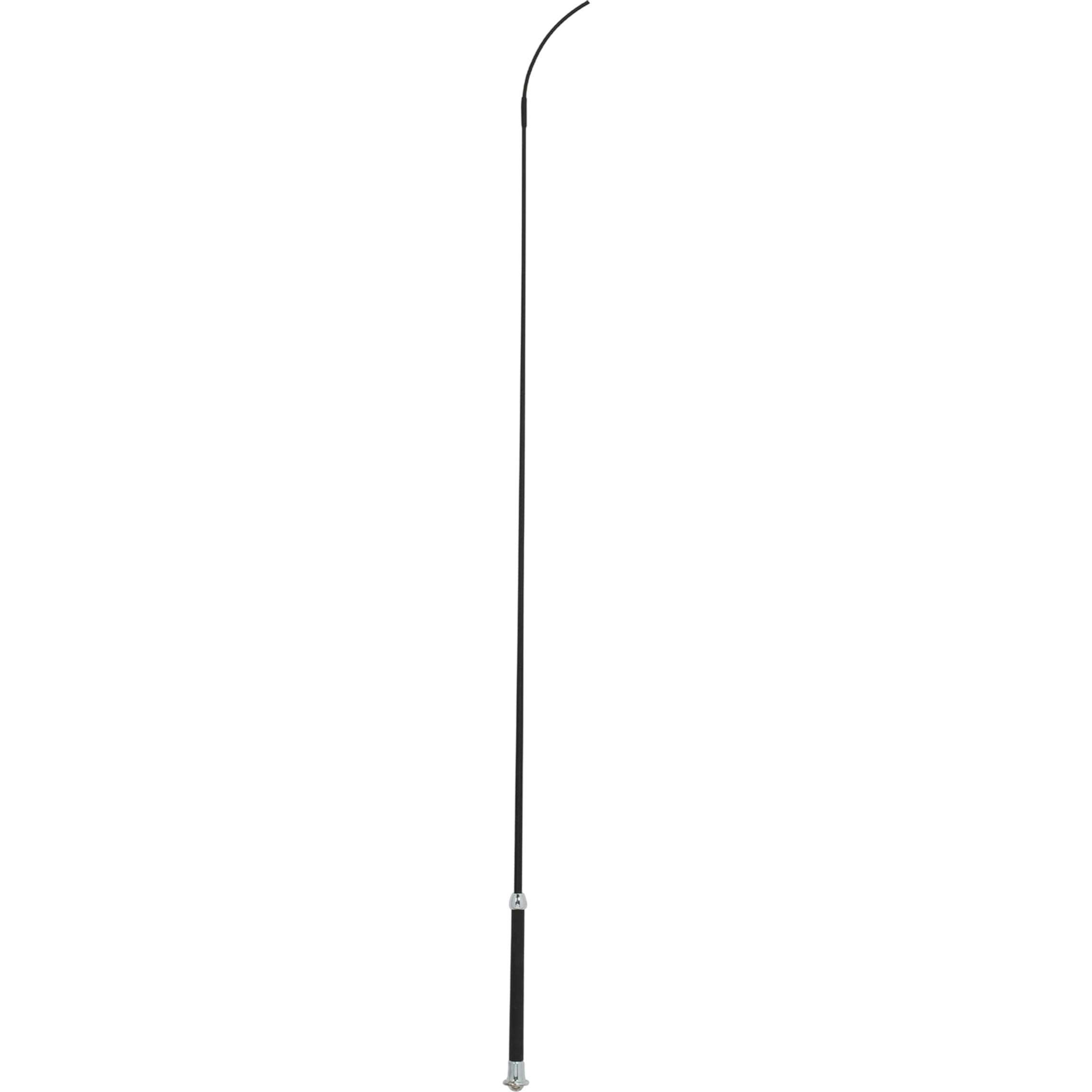 latigo de cuero negro para exhibicion de cerdos de 91.44 centimetros con mango cromado ideal para chile