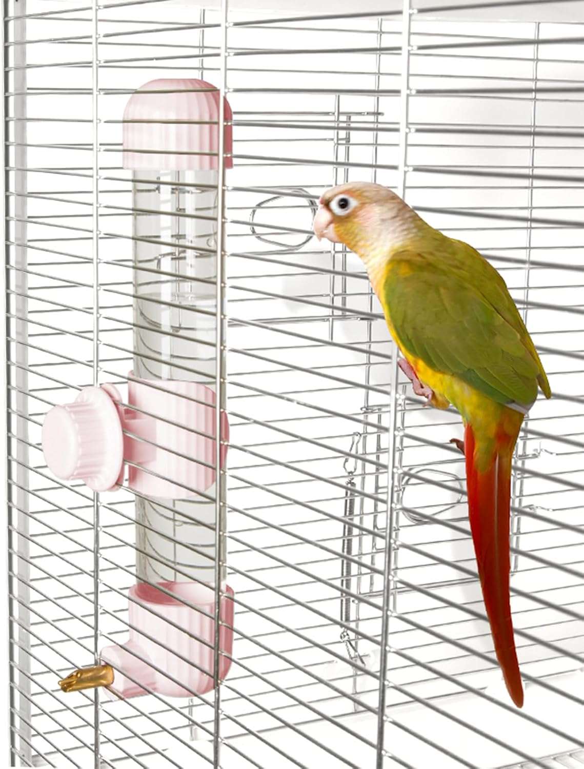 Bebedero Automatico Antiderrames Para Pajaros Y Loros - Imagen 10