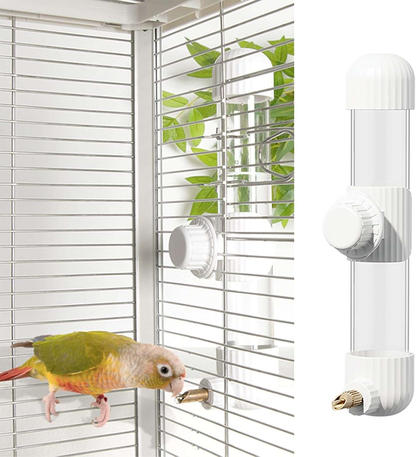 Bebedero Automatico Antiderrames Para Pajaros Y Loros - Imagen 9