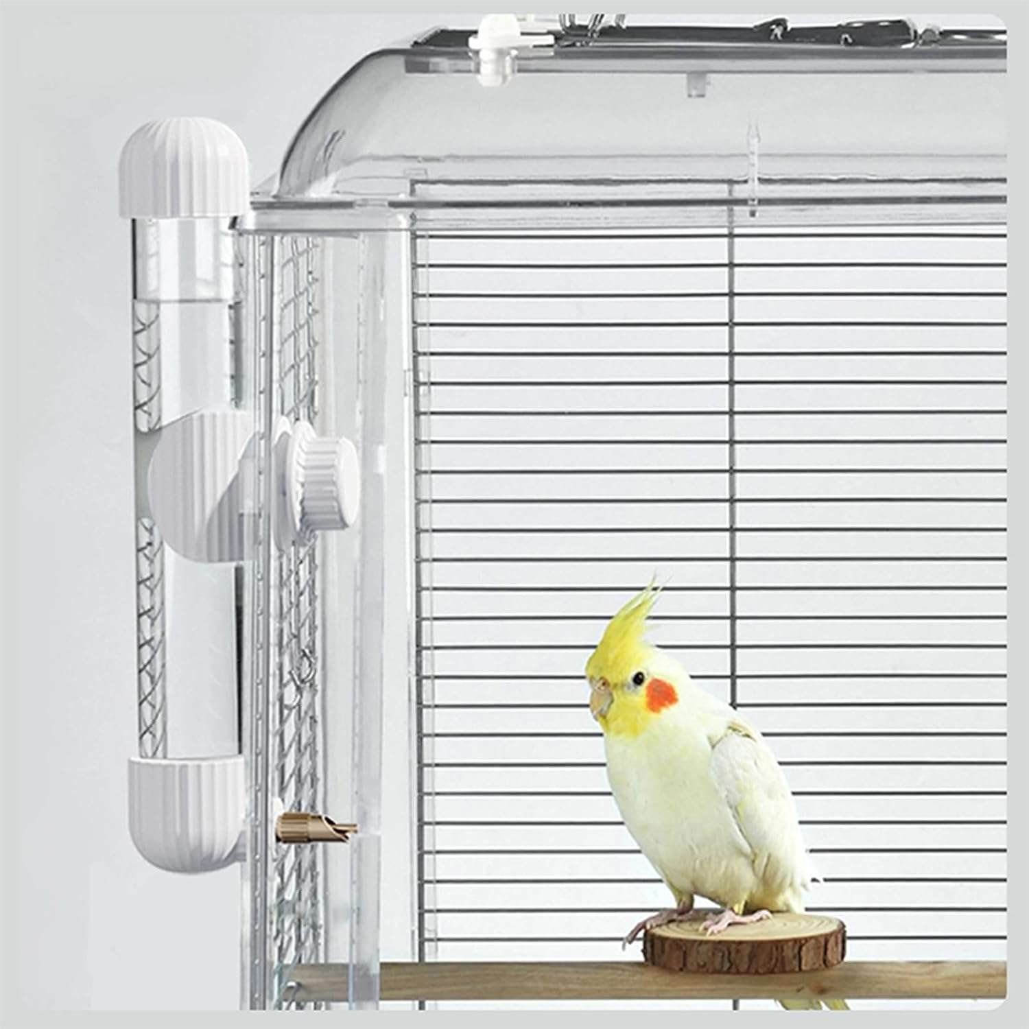 Bebedero Automatico Antiderrames Para Pajaros Y Loros - Imagen 5