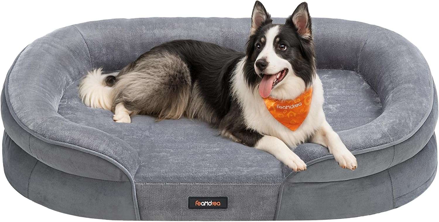 cama ortopedica para perros medianos feandrea de 76 centimetros con bordes elevados y funda lavable