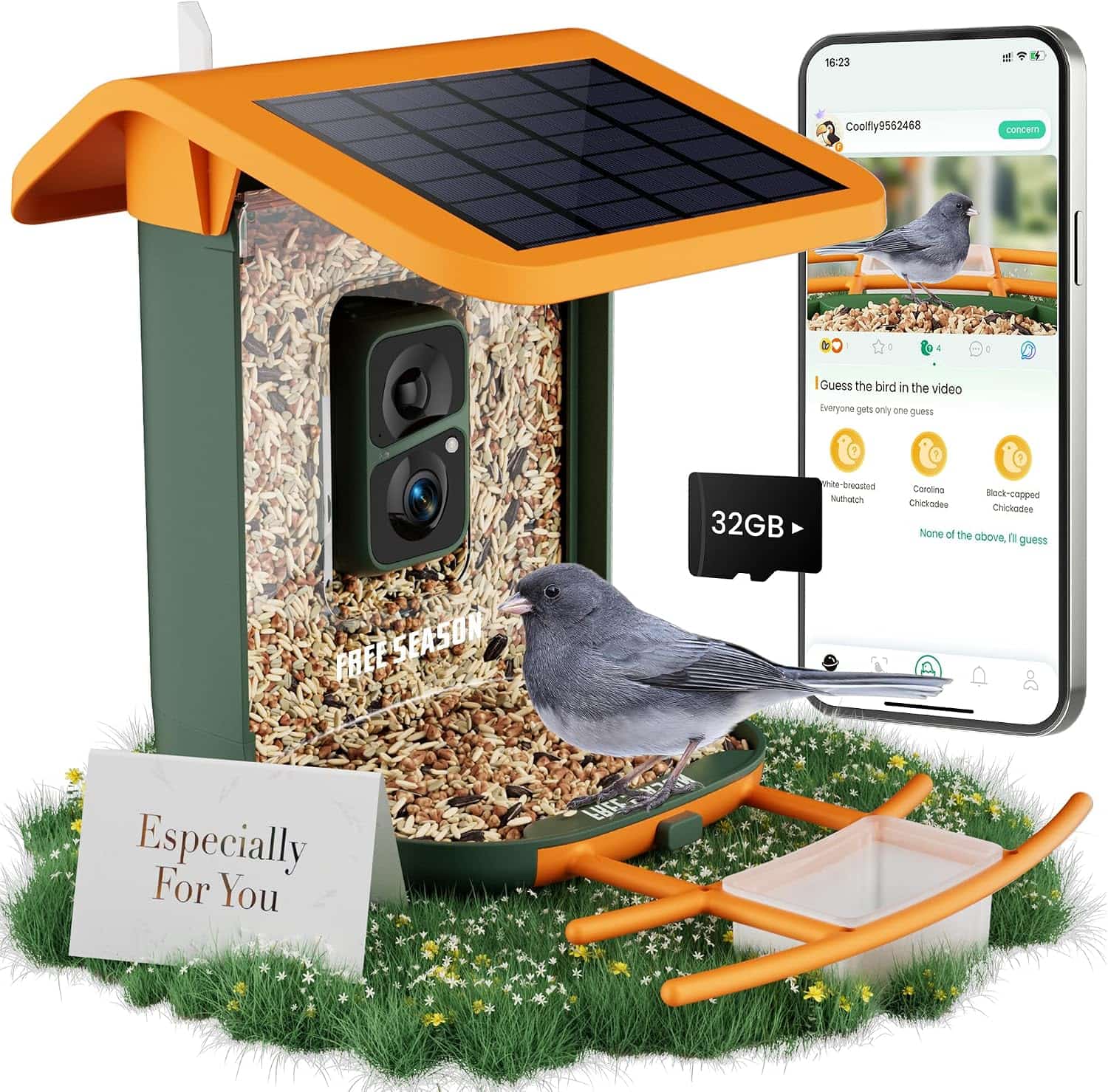 Camara Inteligente Para Comedero De Pajaros Wifi Y Panel Solar - Imagen 10