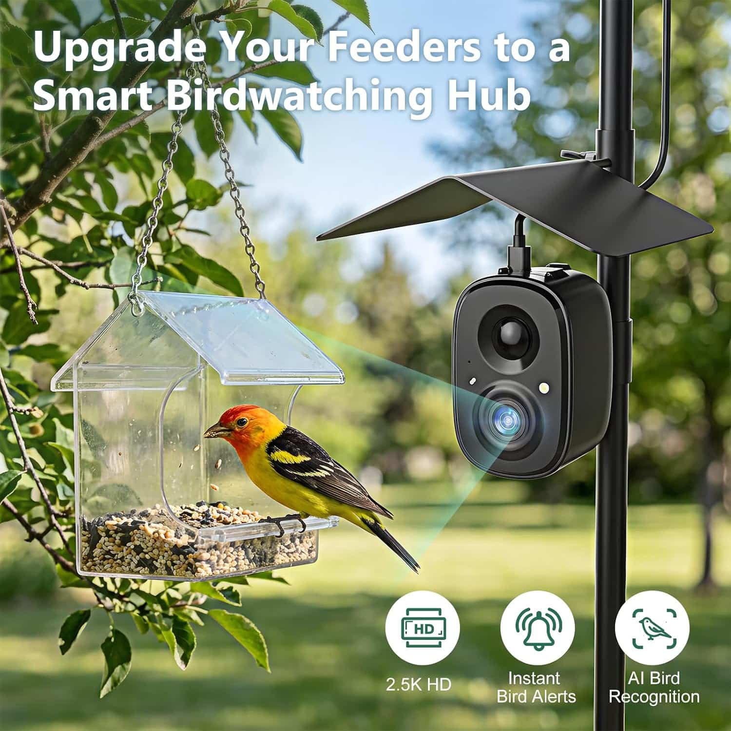 Camara Inteligente Para Comedero De Pajaros Wifi Y Panel Solar - Imagen 7