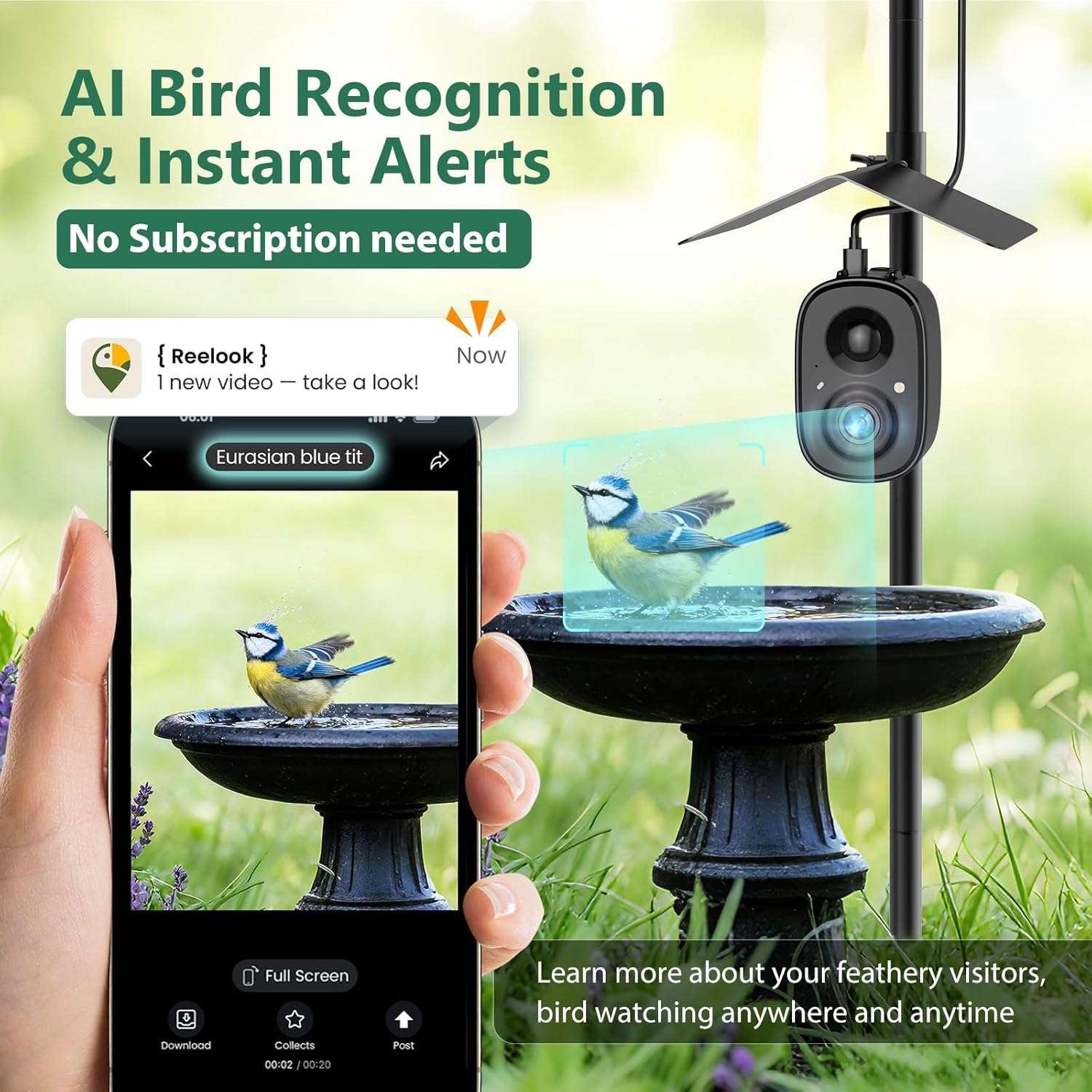 Camara Inteligente Para Comedero De Pajaros Wifi Y Panel Solar - Imagen 6