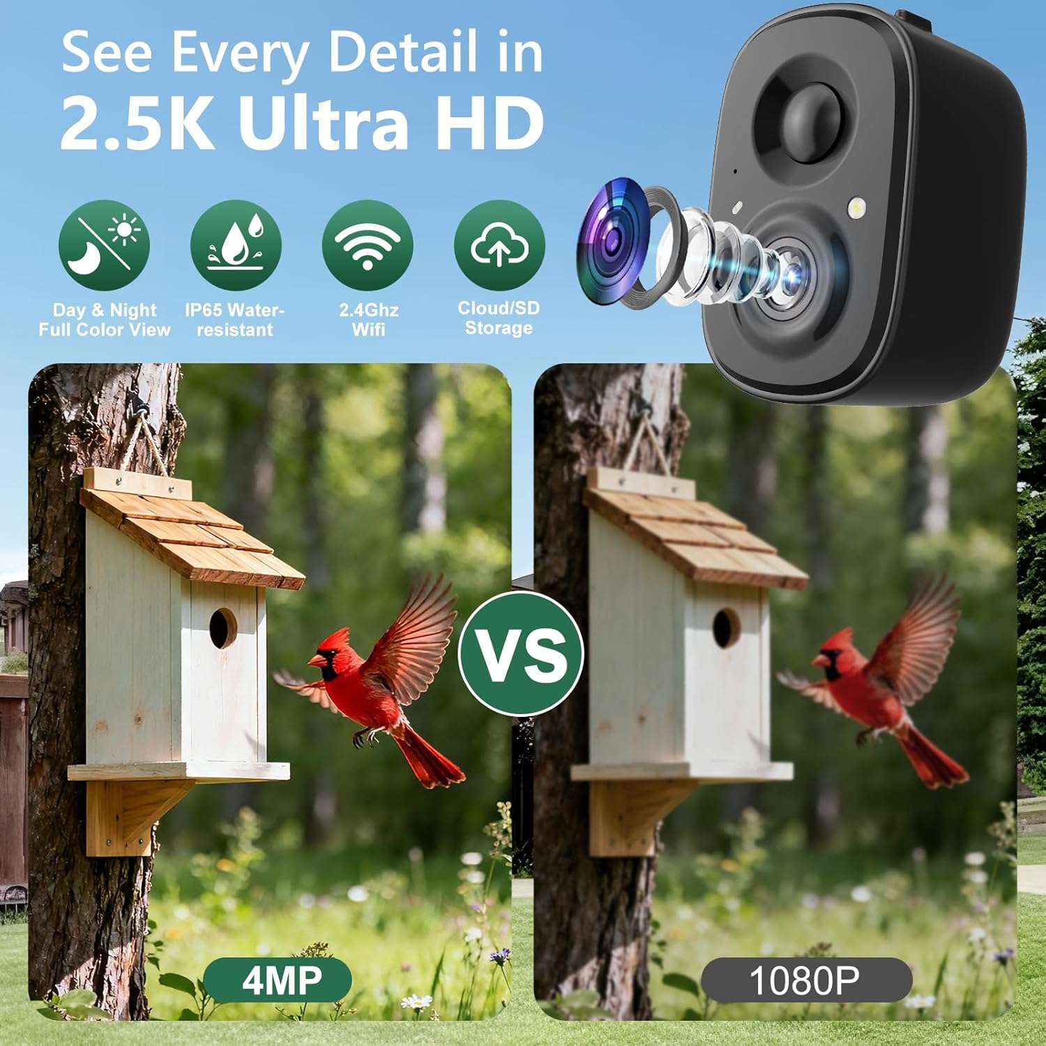 Camara Inteligente Para Comedero De Pajaros Wifi Y Panel Solar - Imagen 5